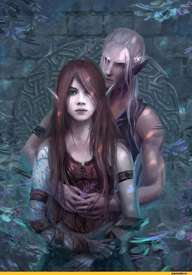 эльфийка вишневых. анариэль эльфийка. Anna helme эльфийка. эльфийка вишнёвых кровей кароль елена книга. лесная эльфийка лучница.