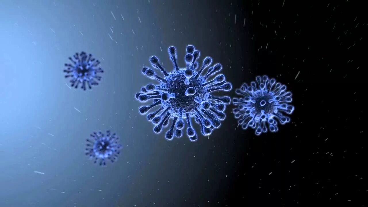 Вирус гриппа h5n1. H5n1. Вирус гриппа под микроскопом h1n1. Штамм гриппа h5n1. Virus 10