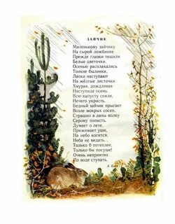 Маленького зайчонка падеж