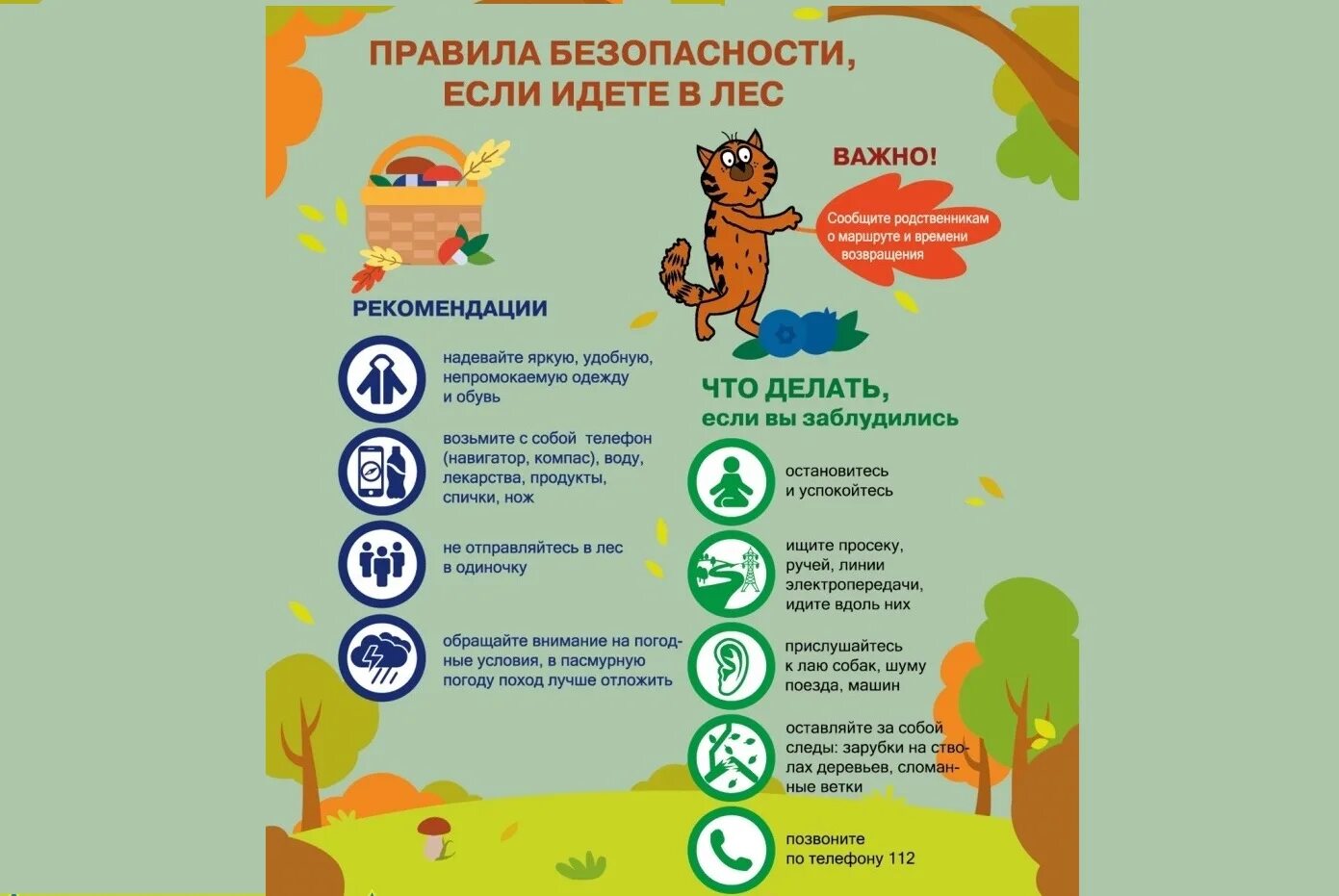 Назовите 3 правила безопасного поведения в лесу. Назовите 3 правила безопасного поведения в лесу