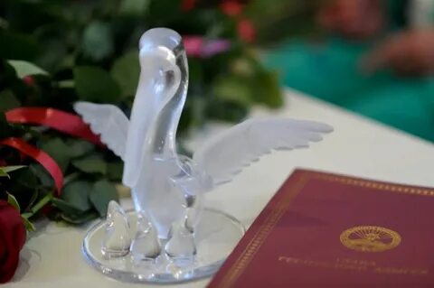 Хрустальный пеликан учитель года