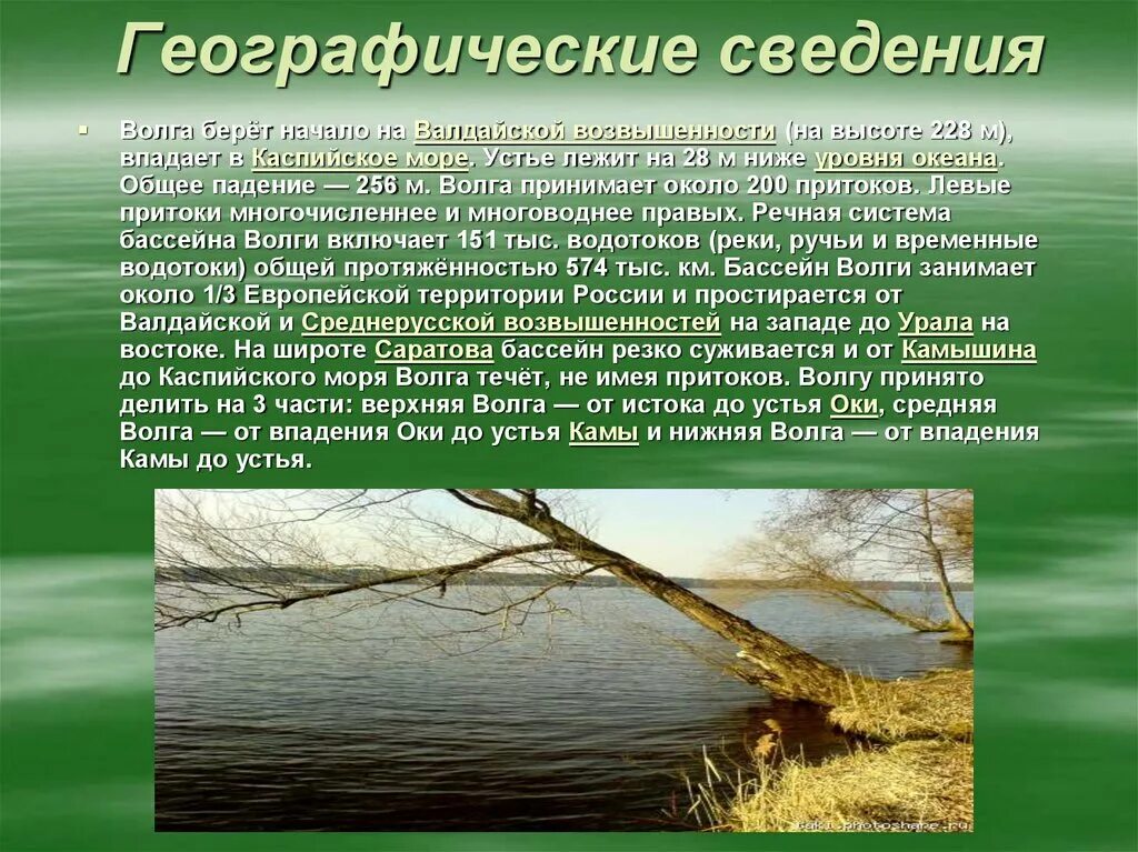 Река волга 6 класс. Основные сведения о Волге. Волга берет начало на Валдайской возвышенности. Проект на тему Волга. Основные сведения о реке Волга.