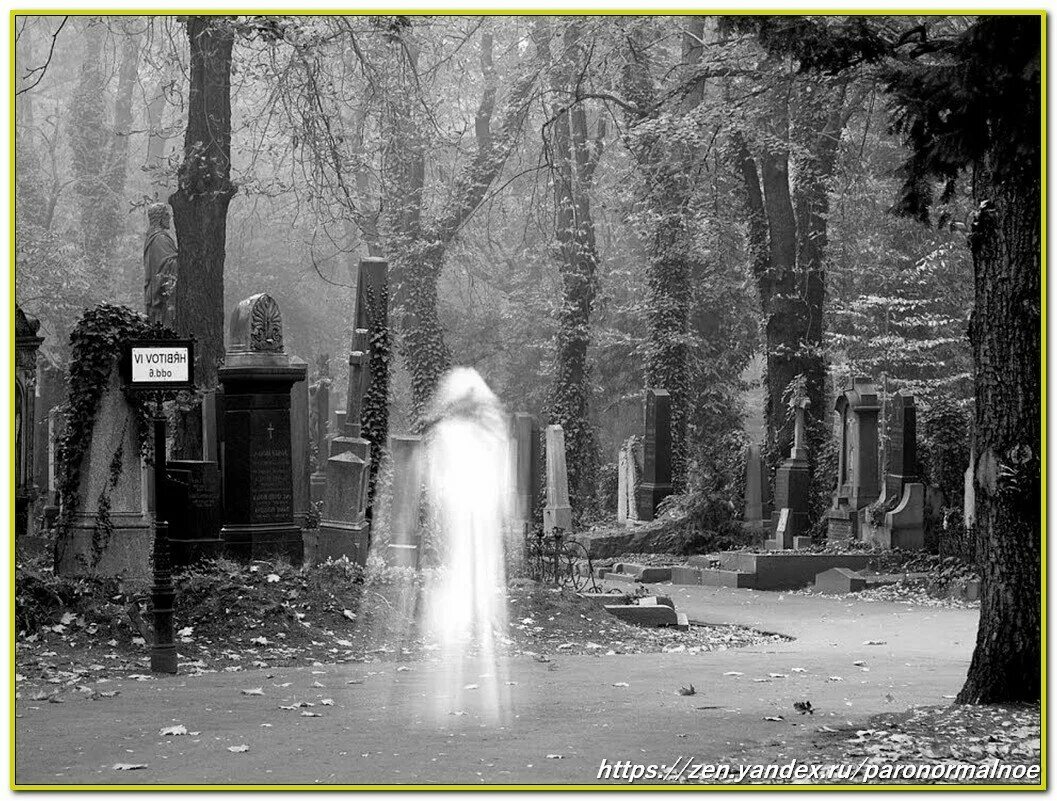 дух кладбища. духи на кладбище. дух кладбища. кладбище ночью с призраками. кладбищенские призраки.