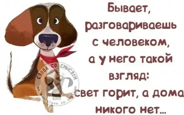 Не обращай внимания играть. Не обращай внимание на дураков картинки. Не обращай внимания на дураков цитаты. На дураков внимания не обращают. Не обращать внимание на идиотов.