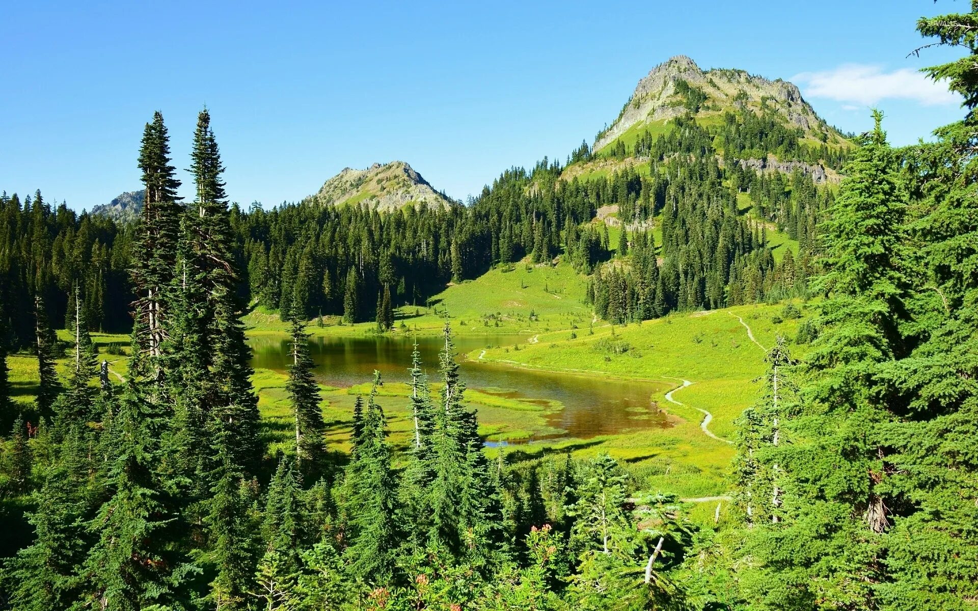 Forest 8. Предвестники осени. Обои на рабочий стол лес. Горы сьерра невада эппл. Лето горы река тайга сибирь.