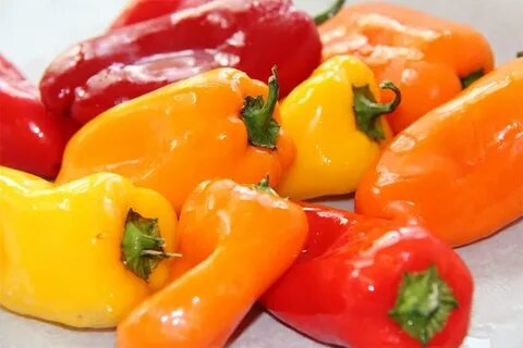 Sweet pepper