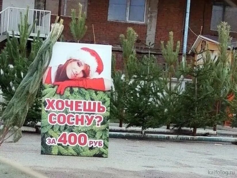 Хочешь сосну на сосну. Мемы хочешь сосну. Мем держи сосну. Реклама хочешь сосну. Мем хочешь сосну.