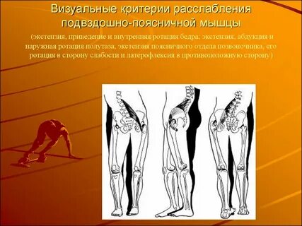 Приведение бедра