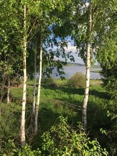 Ножовка пермский