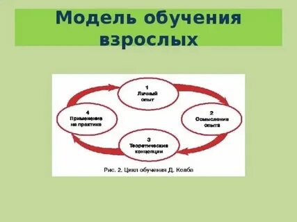 Модель для практики