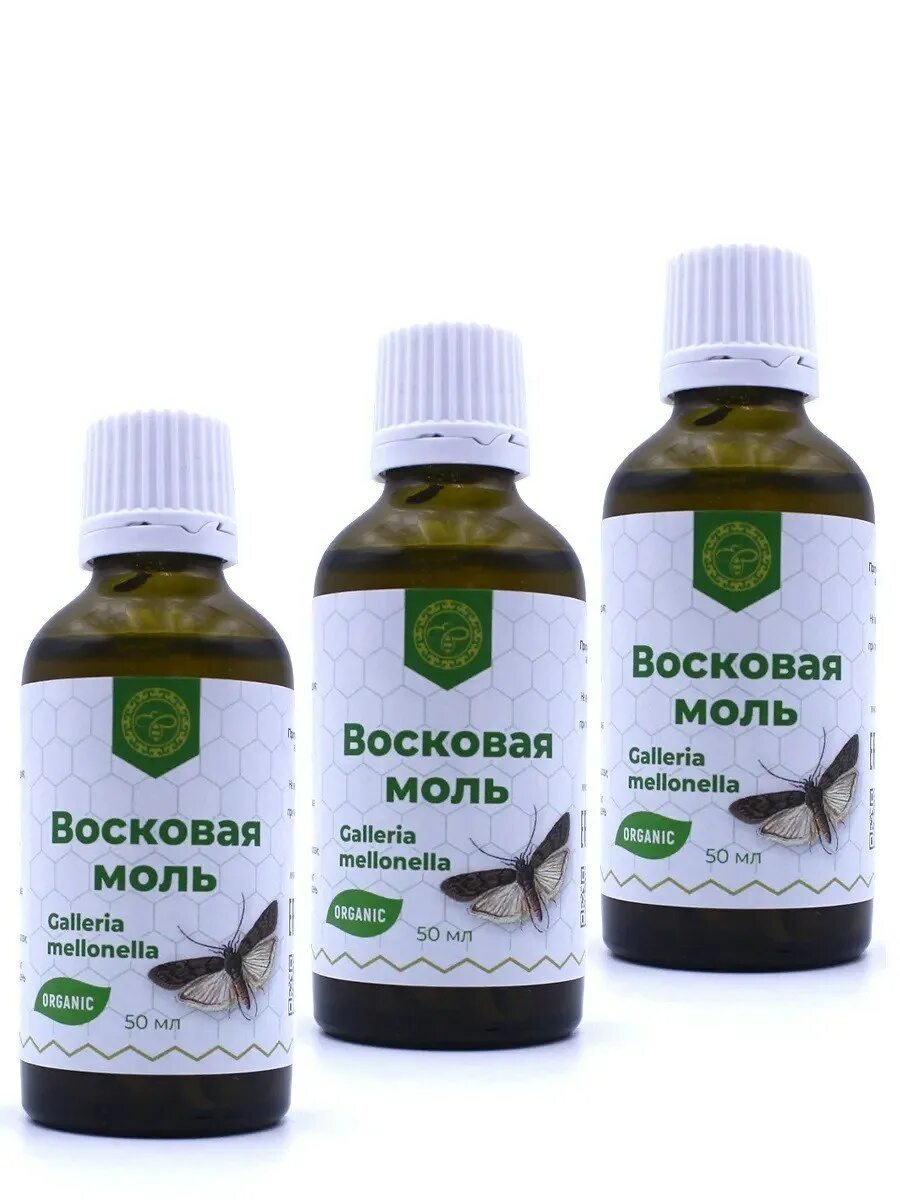 Восковая моль применение для чего применяется. Огнёвка восковая моль. экстракт огневка пчелиная восковая моль. восковая моль этикетка. восковая огневка galleria mellonella.