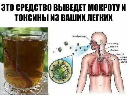 Слизистая мокрота без кашля
