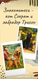 Кот сократ слушать