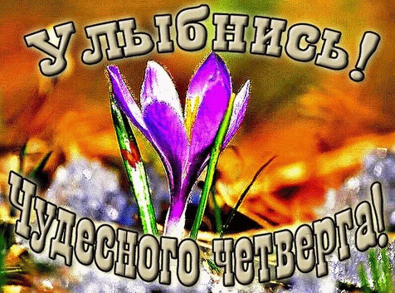 Утро четверга картинки красивые. Доброго весеннего четверга. С весенним четвергом. Доброе Весеннее утро четверга. С добрым весенним утром четверга.