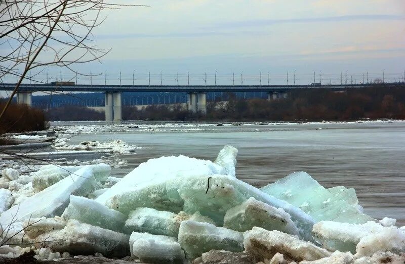 Где вскрылась река. Река Ока Калуга паводок. Река Ока Калуга весной. Ледоход на Клязьме. Лед на реке Ока Калуга.