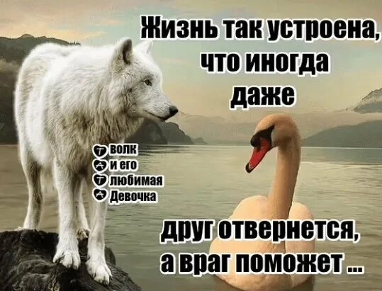 Живу поставим на всю. Только в трудные минуты понимаешь кто друг а кто враг. Цитаты не тот твой друг. Кто друг кто враг узнаешь ты. Я узнал кто враг кто друг.