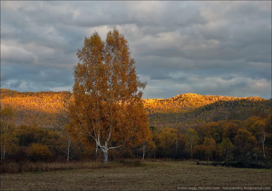 Nonstop Photos Алексей Трацевский
