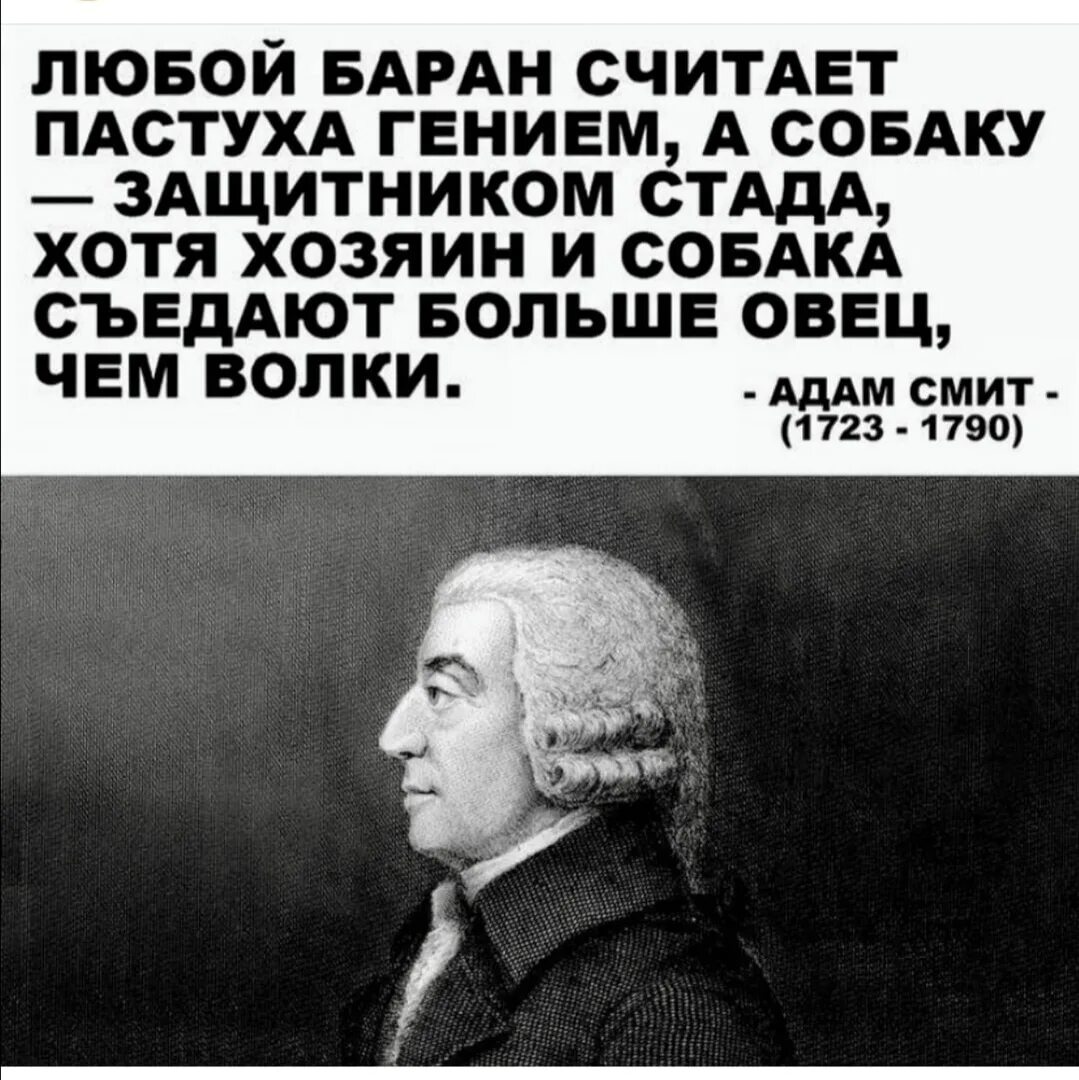 Всю жизнь овца волков. Любой баран считает пастуха гением.