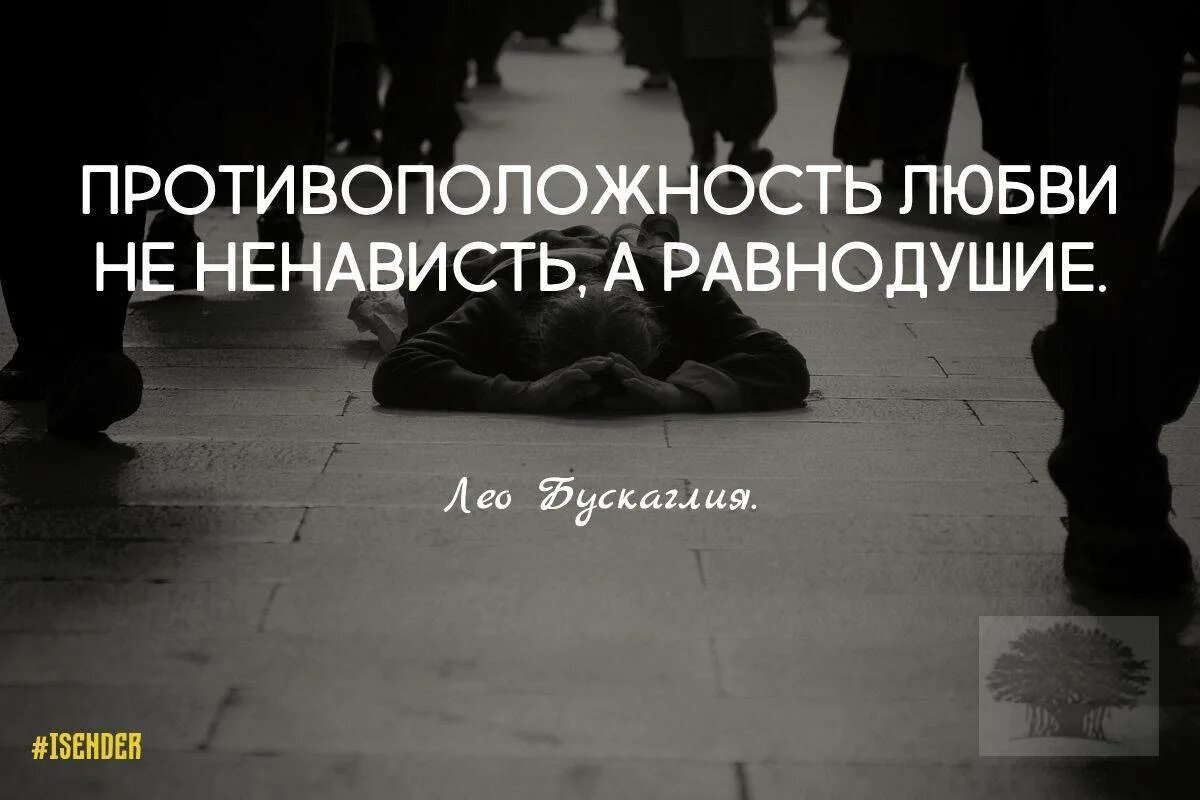 И равнодушие не прячь в улыбку. Высказывания про равнодушие. равнодушие цитаты. фразы про равнодушие. безразличие цитаты.