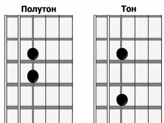 Строй гитары 6 струн тюнер. Тон полутон на гитаре. Полтона на гитаре. Тон тон полутон на гитаре. Нота ми гитара слушать