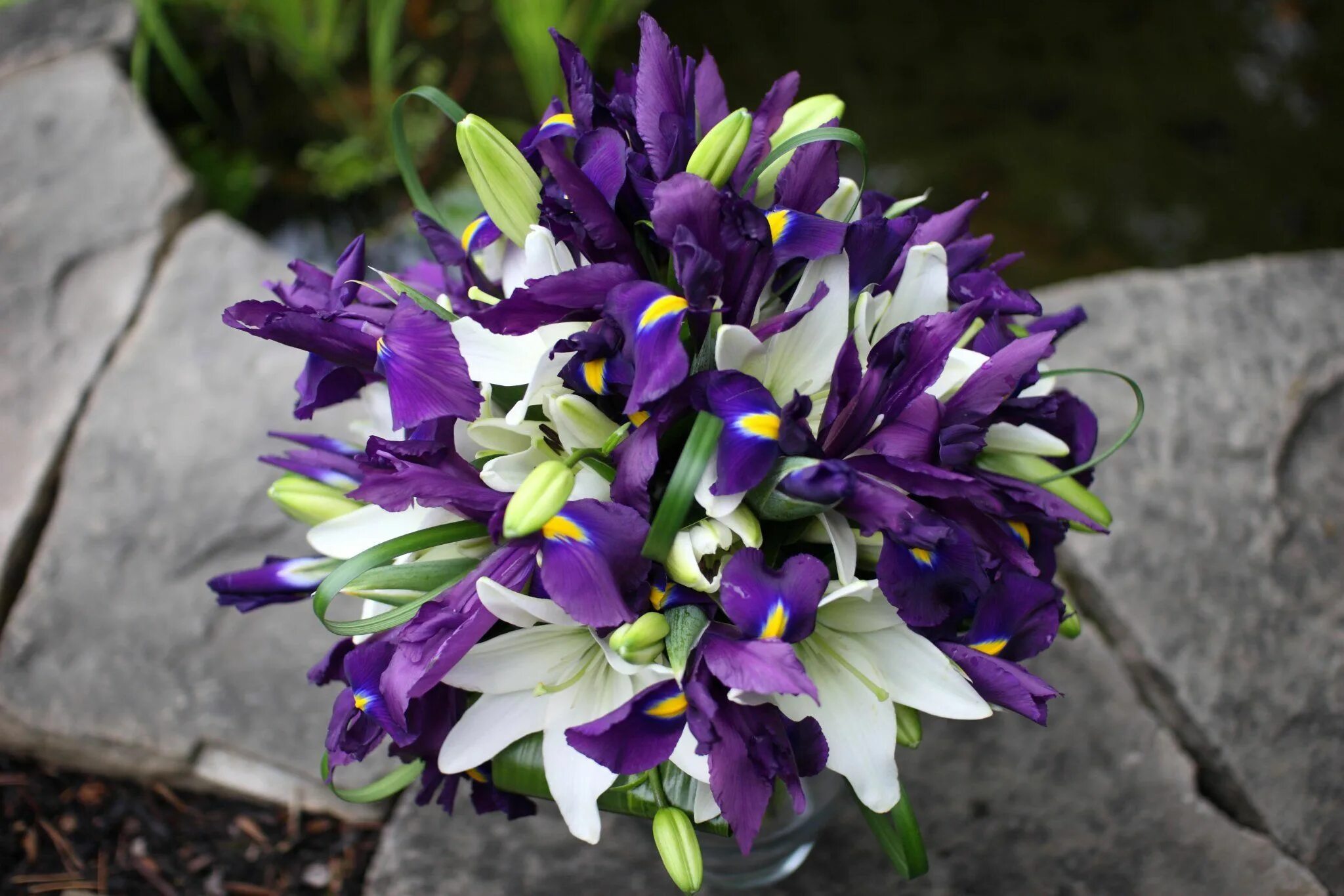 Лилии фото ирисы фото BB0325-White Lily and Purple Iris Wedding  1,800 × 1,200 pixels Iris