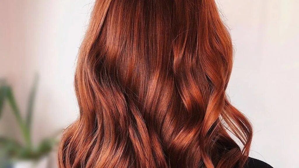 Имбирный цвет волос. Цвет волос имбирь. Orange hair коричневый. Цвет волос имбирь. Цвет волос имбирь.