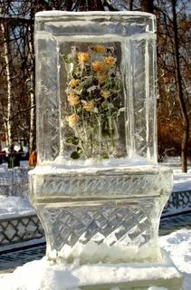 Ледяная садов