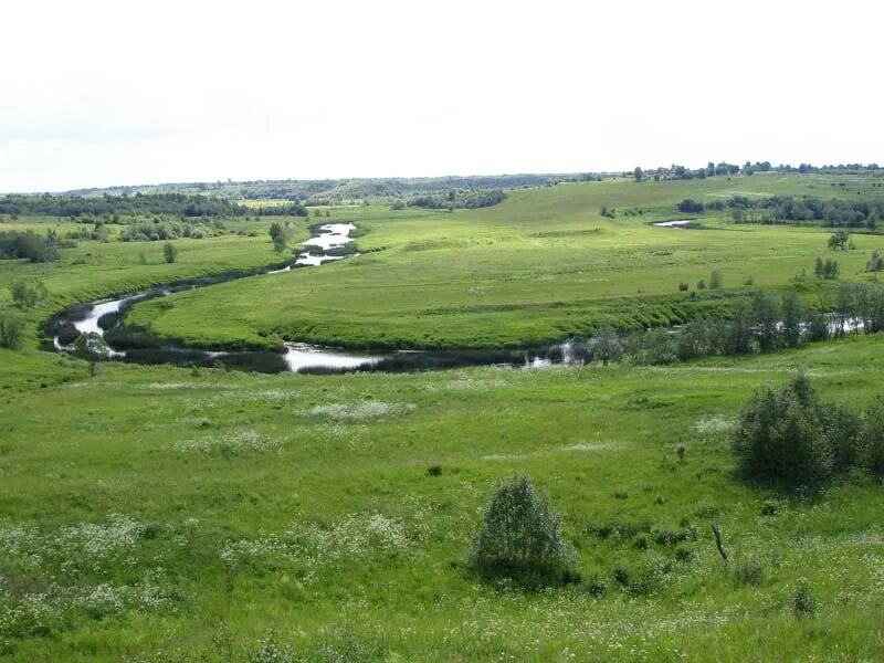 Река сить русь. Брейтово река сить. Река сить в Ярославской области. Река сить Брейтовский район Ярославской области. Семеновское Городище Брейтовский район.