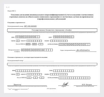 Окфс 2024