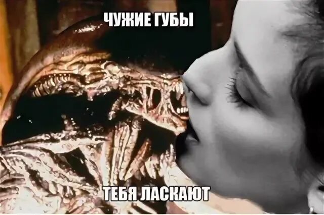 Руки вверх чужие. Сон чужие губы. Чужие губы руки слова. Чужие губы тебя ласкают мем. Чужие губы табы для гитары.