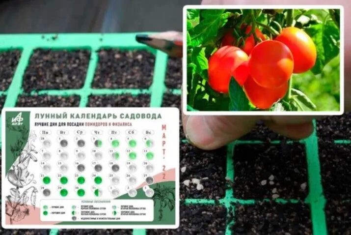 Посевные дни в марте 2025г для томатов. Посадочные дни помидор в марте. рассада помидоров kalendar. лучшие помидоры 2025 года. благоприятные числа для посадки помидор в марте.