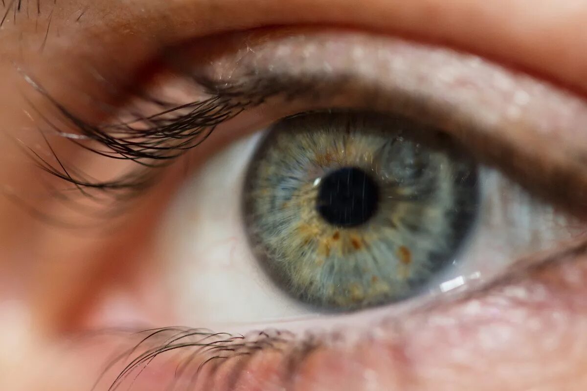 Причины симптома сухого глаза