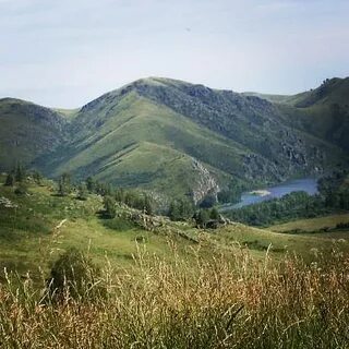 С камышенка алтайский край