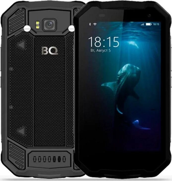 Bq shark