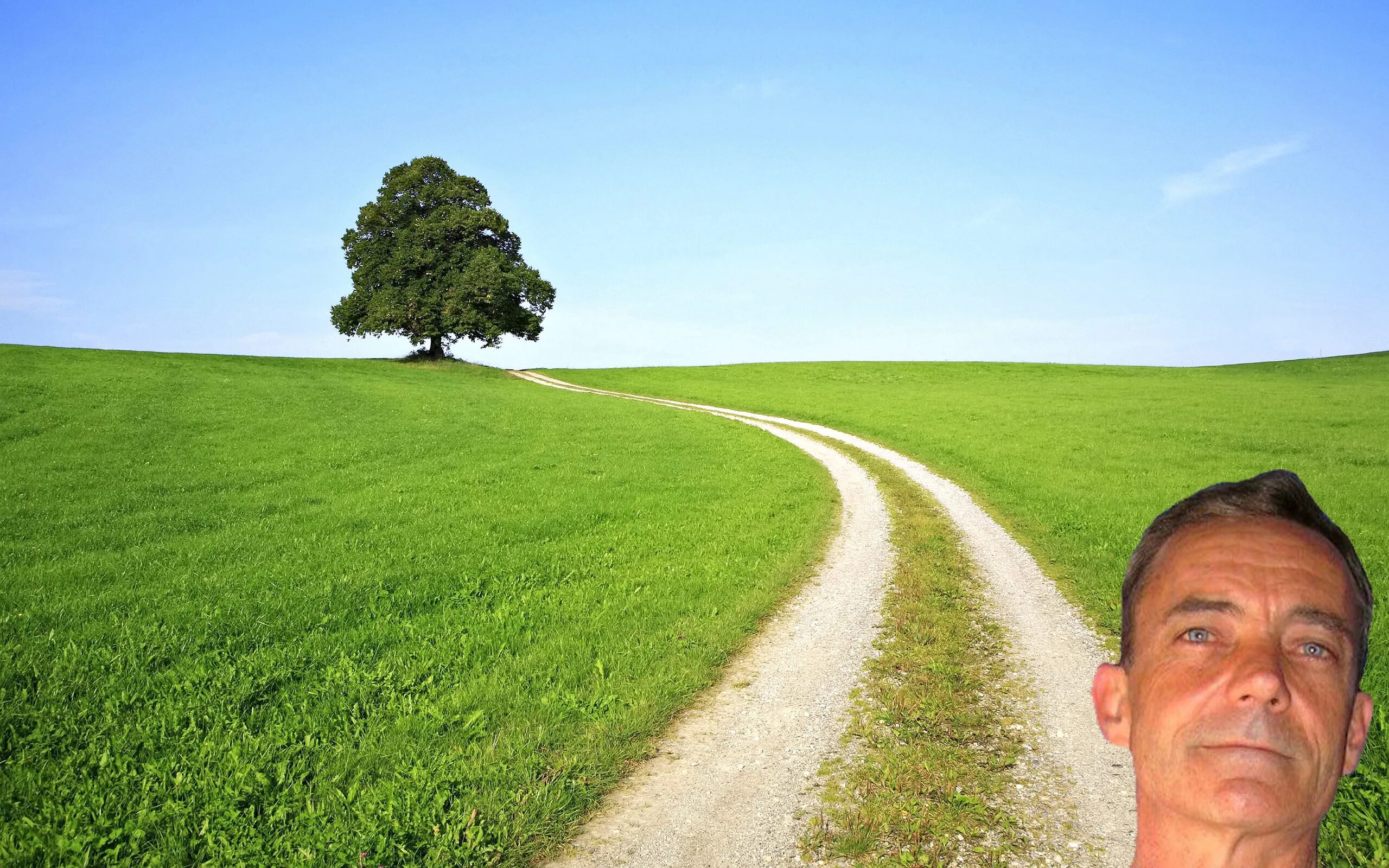 Перекресток в лесу. Two roads diverged in a wood. Поле с дорогой. Path 2. Женщина на перепутье.