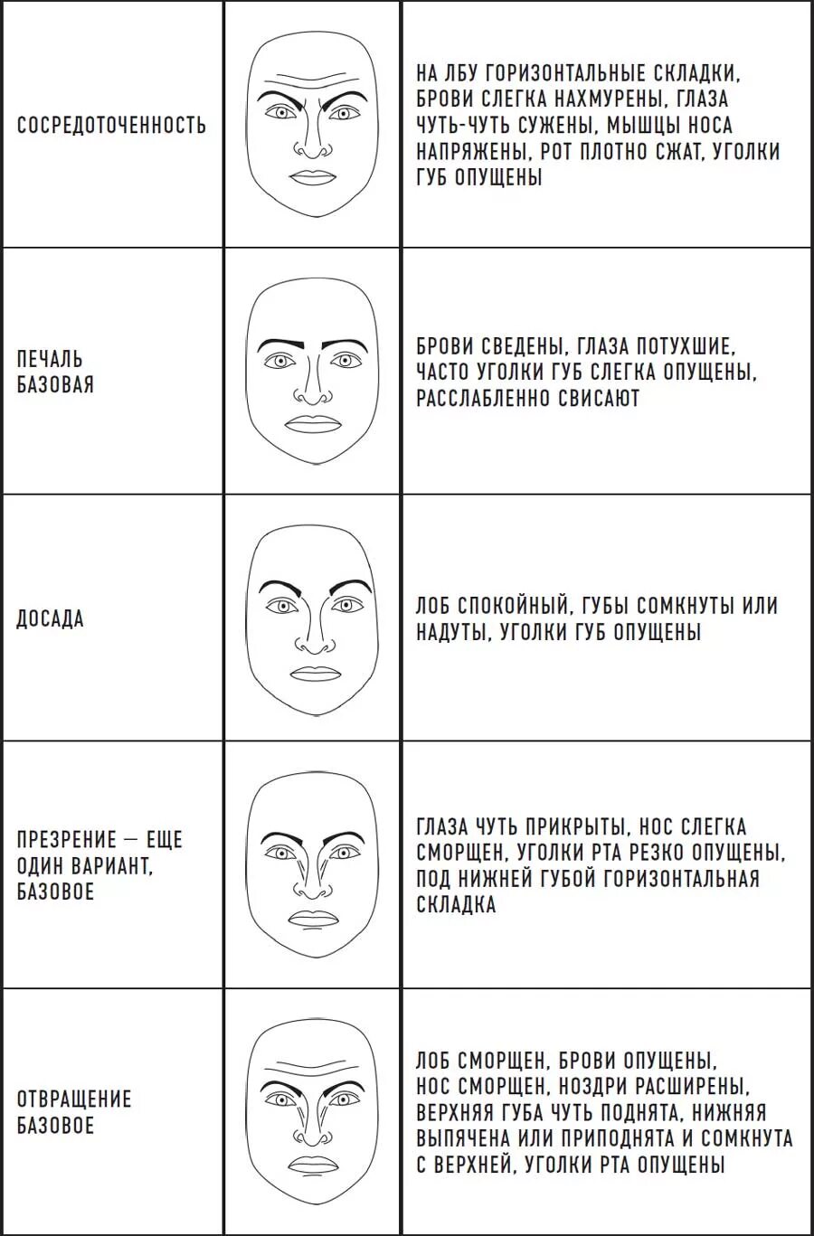 Выражения лица эмоции. Эмоции человека. Мимические черты лица. Мимика лица читать. Мимика лица читать.