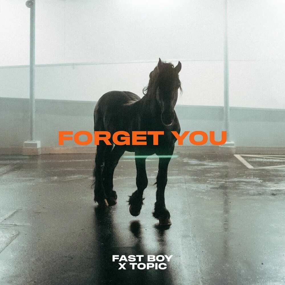Fast boy feat topic forget you