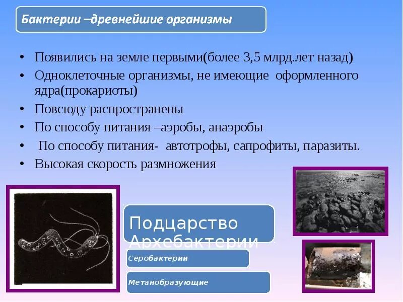 Более 3 млрд лет назад