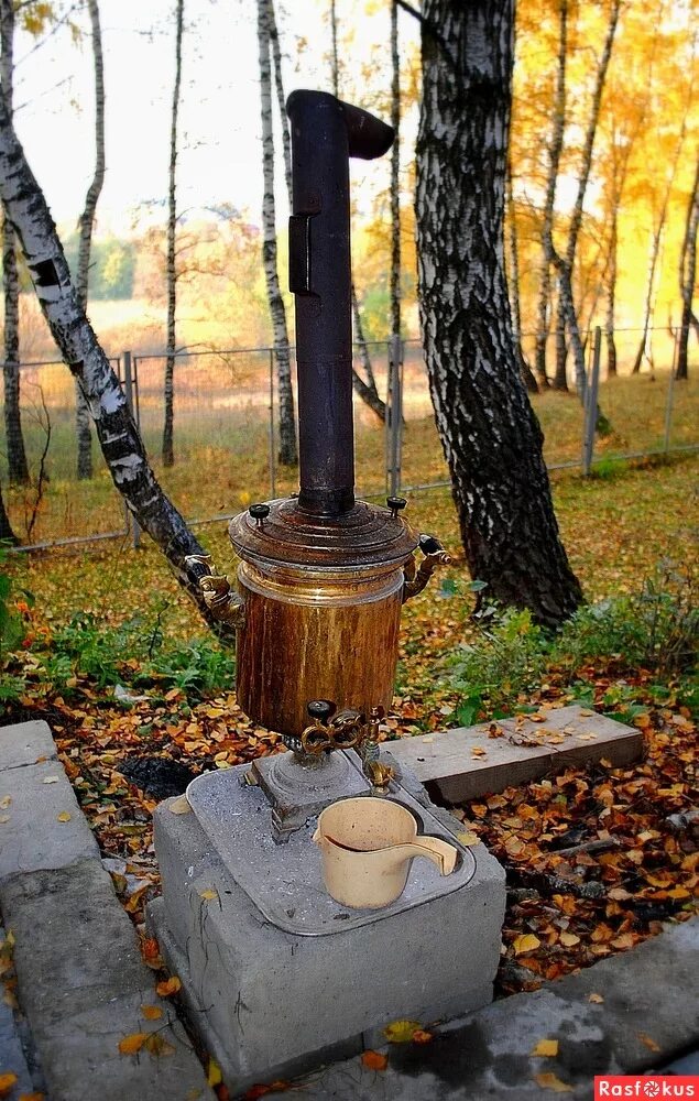 Самовар на дровах на природе. Осенний самовар. Самовар на дровах красивые. Чай с самовар ана природе. Шашлык самовар