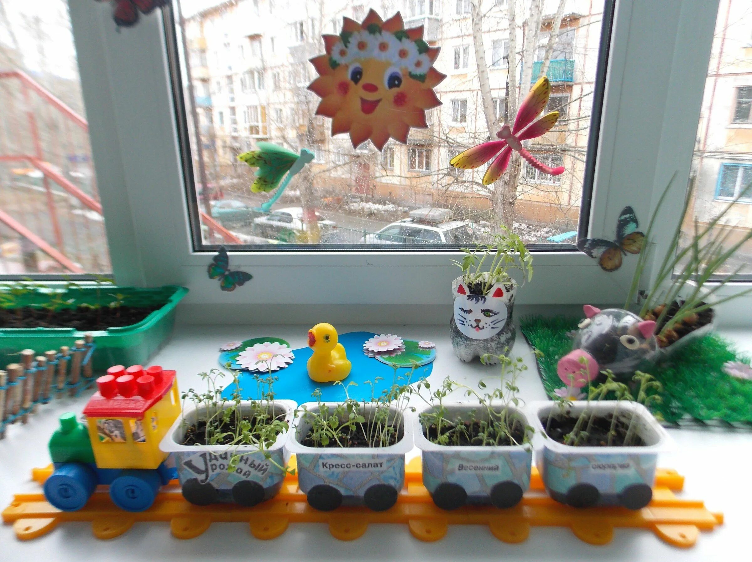 Огород на окне. Огород на подоконнике в детском саду. Огород ЕС окне в детскои саду. Огород на подо. Огород на подоконнике отчет в детском саду