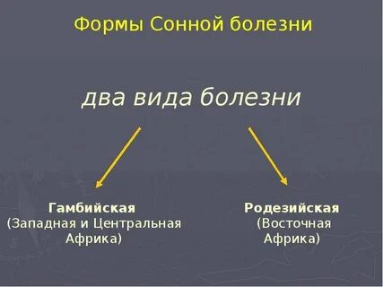 Как называется сонная болезнь