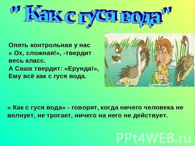 Объясните значение как с гуся вода. Как с гуся вода. Картинка к фразеологизму как с гуся вода. С гуся вода фразеологизм. Как с гуся вода фразеологизм.