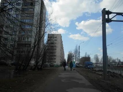 Придорожная аллея аллеи санкт петербурга