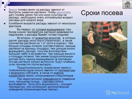 Время пригодное в египте для посева семян