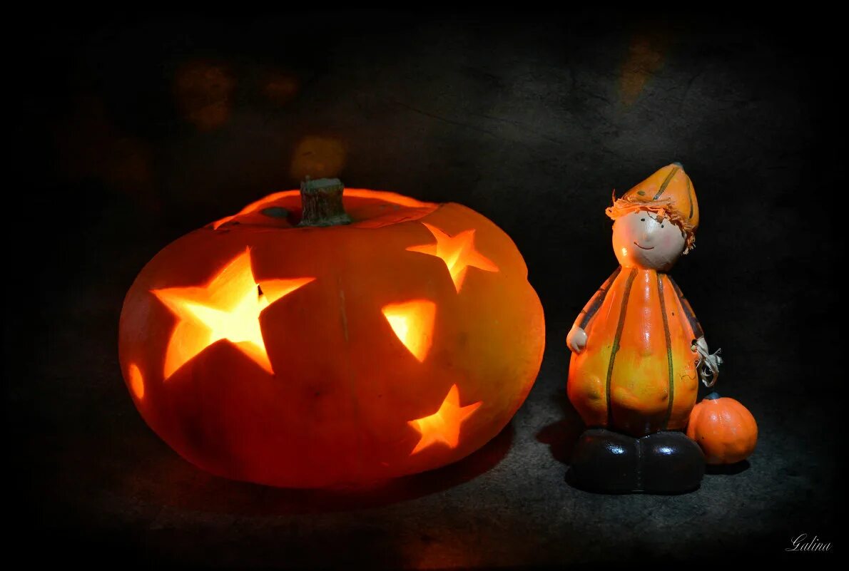 Стебель тыквы. Тыква хэллоуин. Тыква для хэллоуина. Свечи тыква хэллоуин. Дикая тыква.