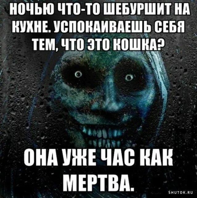 Какие есть страшные истории. Страшные смешные истории.