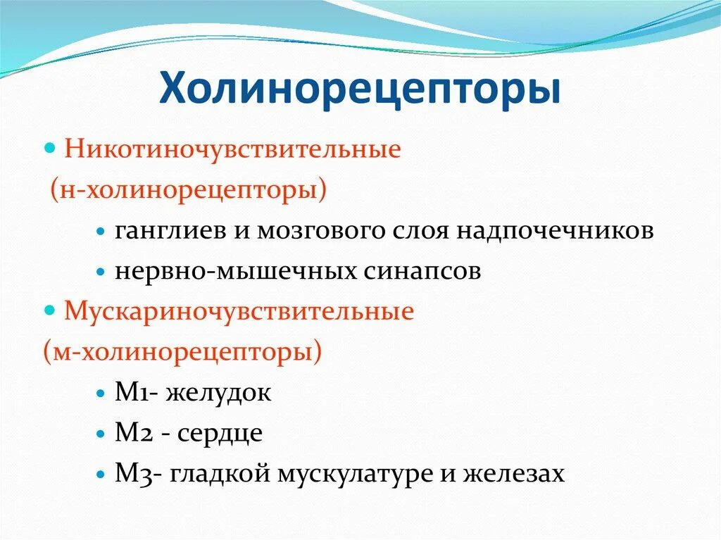 Локализация холинорецепторов. Тип рецепторов холинорецепторы. Nn холино Рецептор строение\. М-холинорецепторы и н-холинорецепторы. Типы холинергических рецепторов.