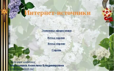 Май сценарии