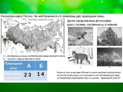 Природные зоны карта впр