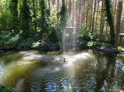 40 лет зоопарку